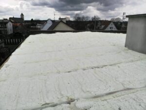 502488234_2979066038929738_3236210929343306604_n