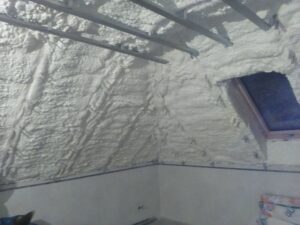 503483674_2979066212263054_6207556957001041175_n