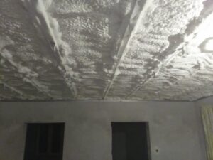 558302720_1394781375983362_2444851045476379077_n