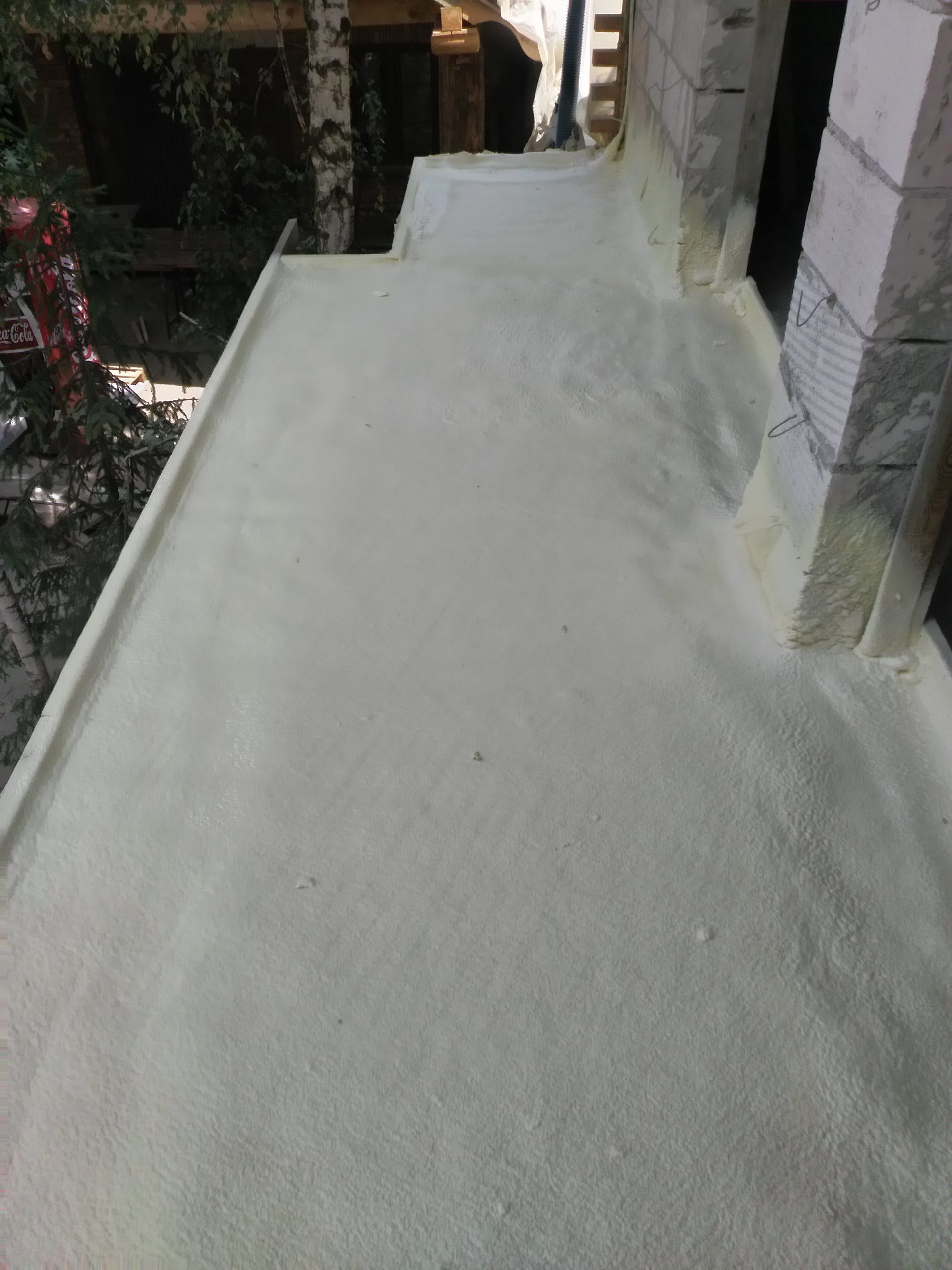 IMG_20160625_120532[1]