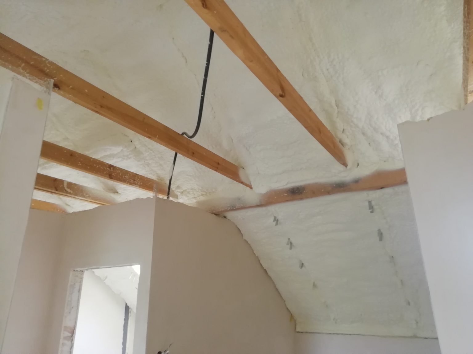 IMG_20230725_145454[1]