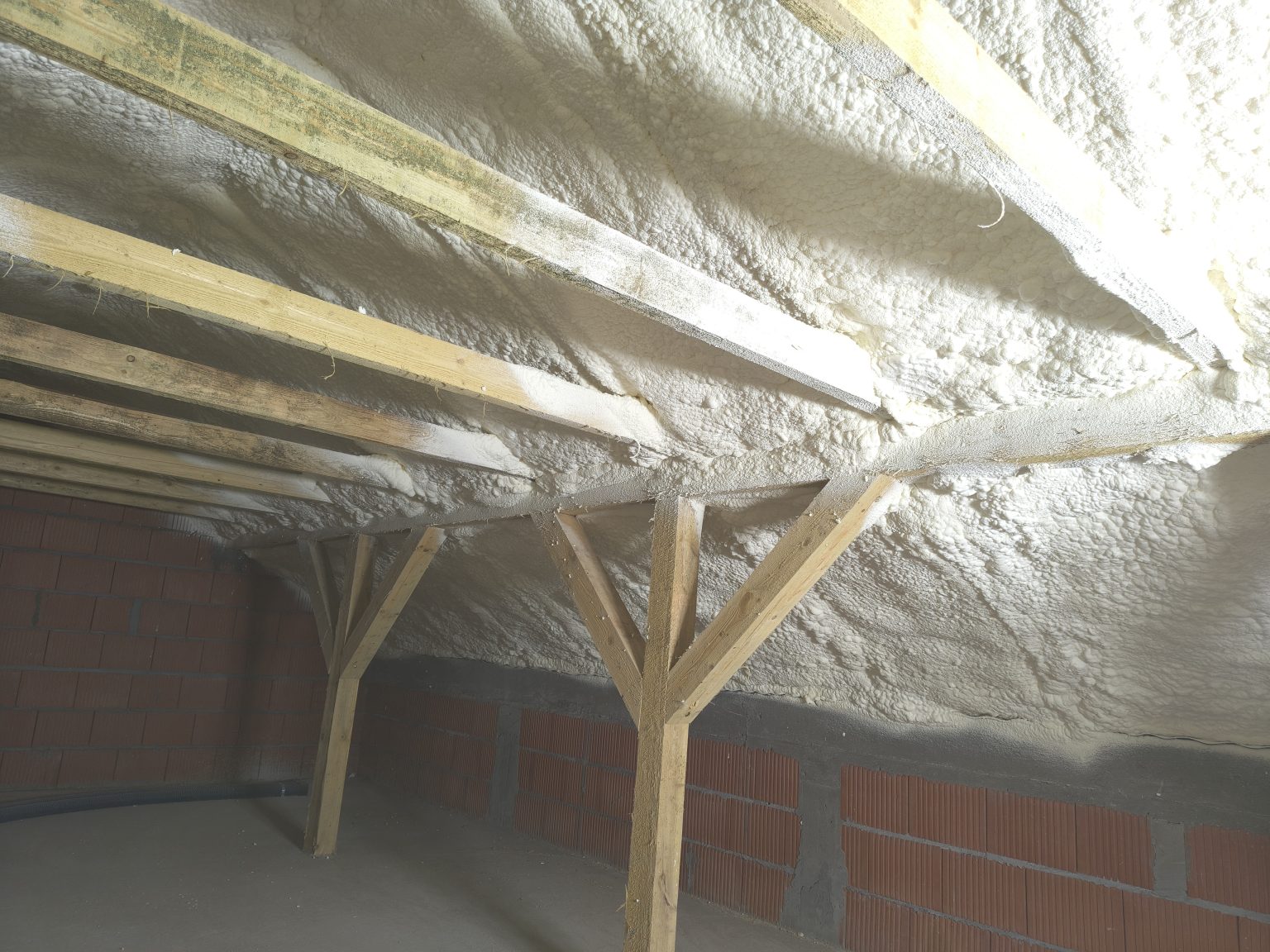 IMG_20251114_150006621_HDR[1]